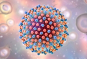 Hepatitis C